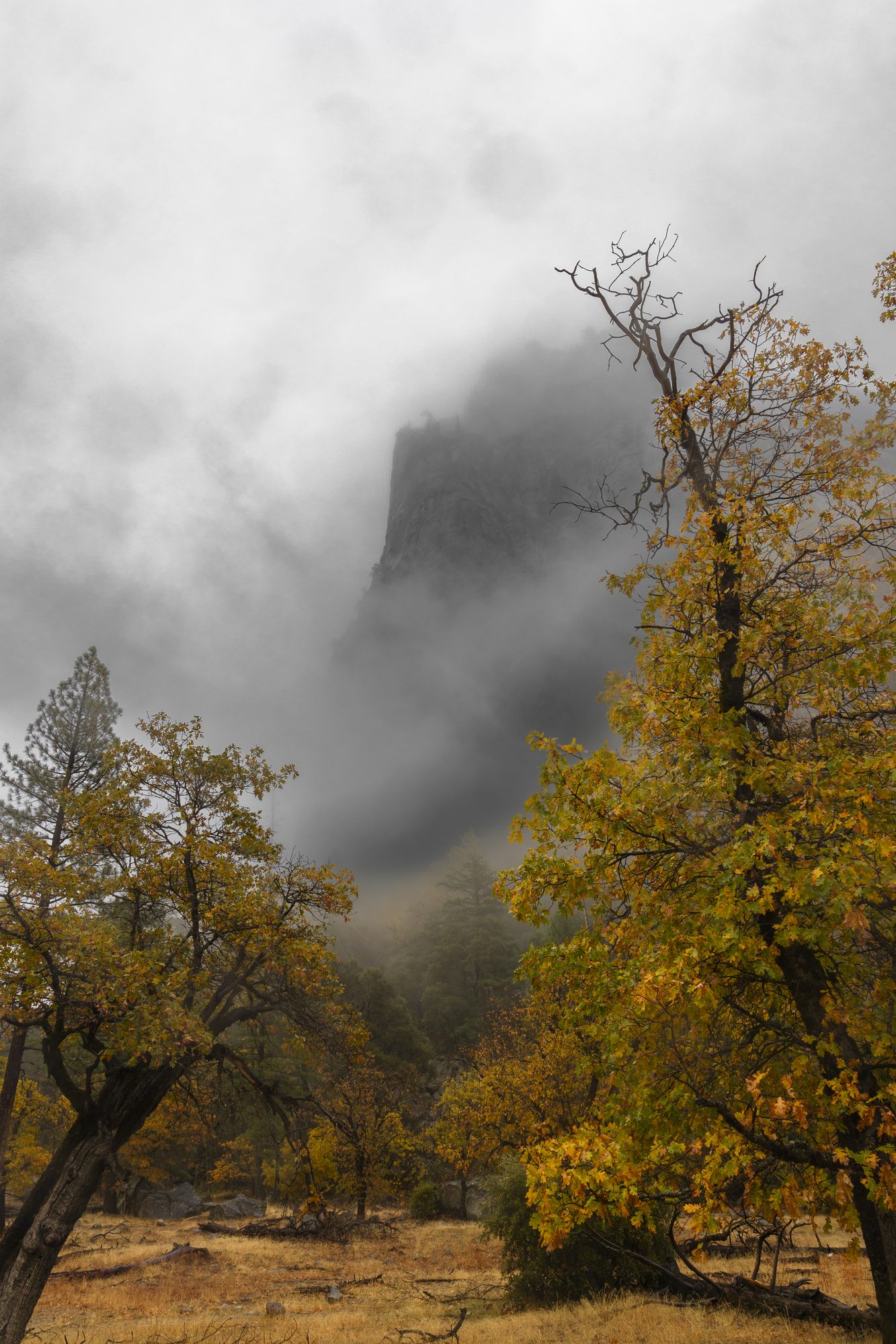 Autumn fog in Yosemite Valley